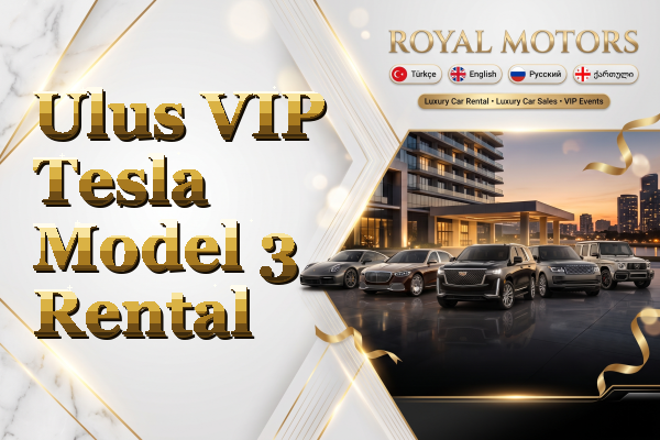 Ulus VIP Tesla Model 3 Rental