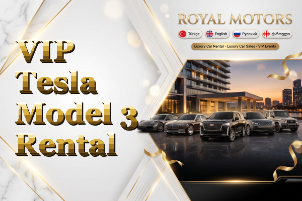 VIP Tesla Model 3 Rental