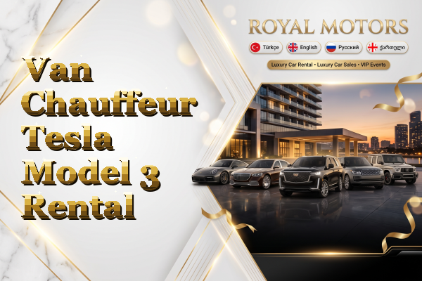 Van Chauffeur Tesla Model 3 Rental
