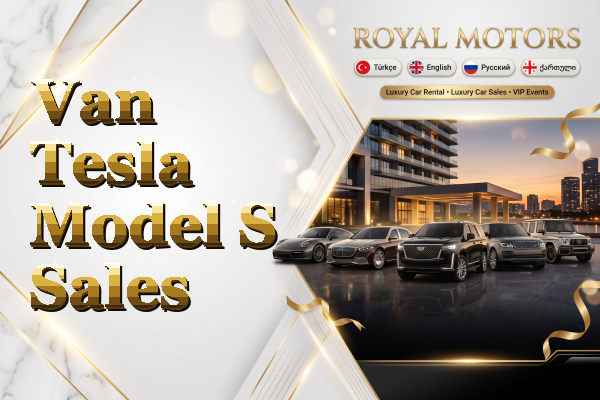 Van Tesla Model S Sales