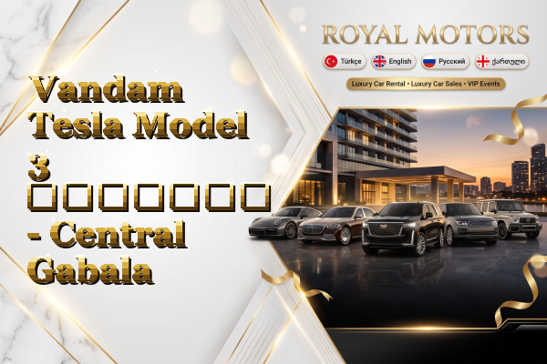 Vandam Tesla Model 3 გაყიდვა - Central Gabala