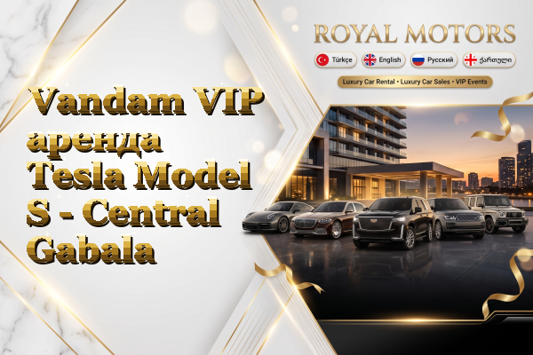 Vandam VIP аренда Tesla Model S - Central Gabala