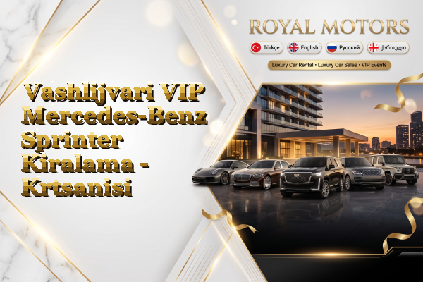 Vashlijvari VIP Mercedes-Benz Sprinter Kiralama - Krtsanisi