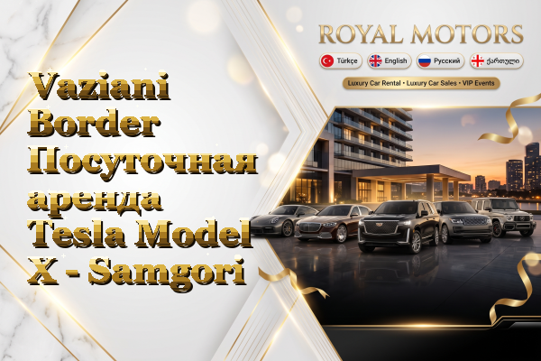 Vaziani Border Посуточная аренда Tesla Model X - Samgori