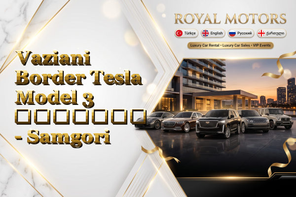 Vaziani Border Tesla Model 3 გაყიდვა - Samgori