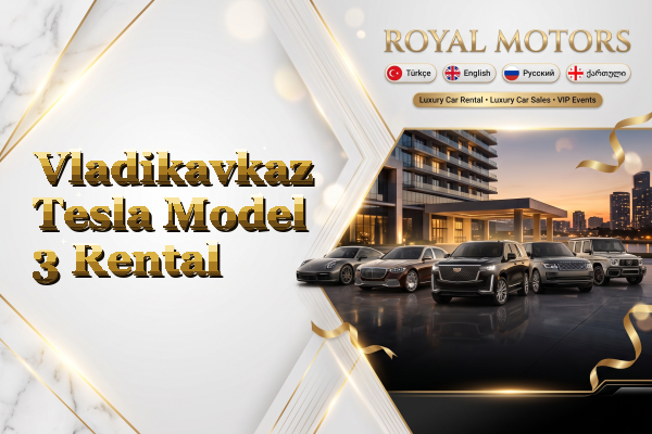 Vladikavkaz Tesla Model 3 Rental