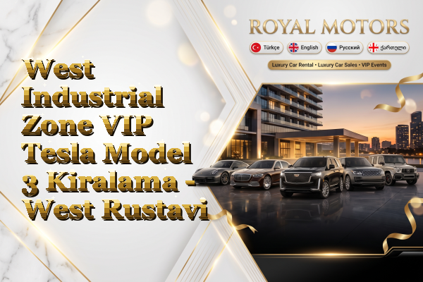 West Industrial Zone VIP Tesla Model 3 Kiralama - West Rustavi