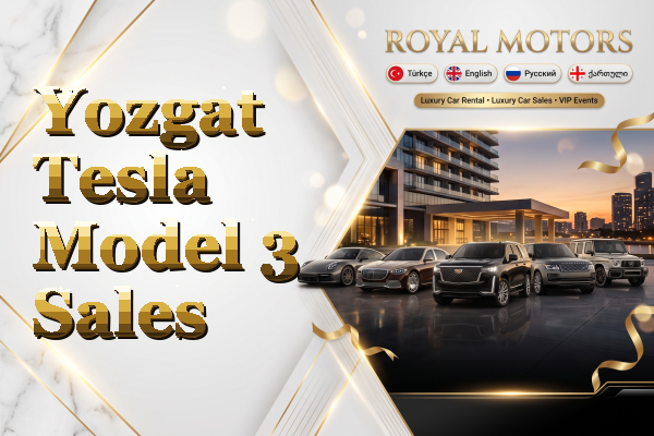 Yozgat Tesla Model 3 Sales